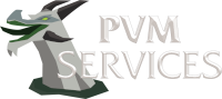 OSRS Bossing & PvM Services